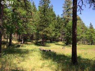 Trowbridge Goldendale, WA 98620 - Photo 1 of 18 Gallery Image 1