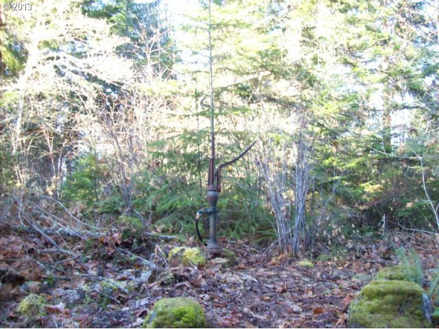 0 Northwest Ridge Road Forest Grove, OR 97116 - Photo 13 of 13 Gallery Image 13