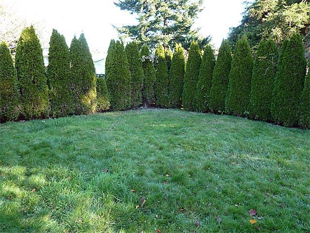 204 Tanbark Road Brookings, OR 97415 - Photo 13 of 16 Gallery Image 13