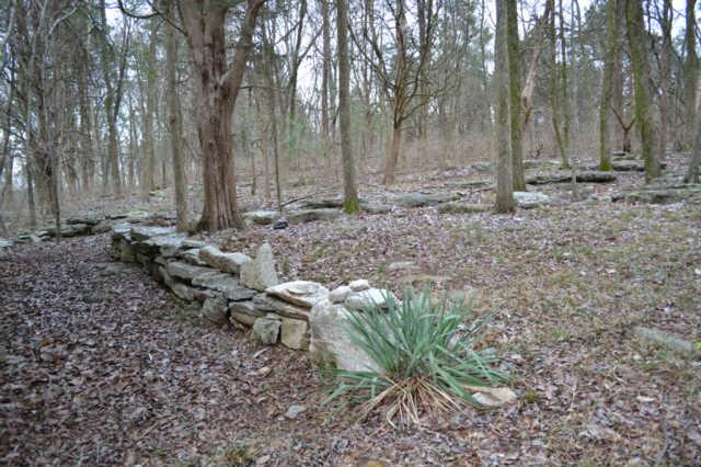 APPRX 5.13 ACRES WITH TREES 
