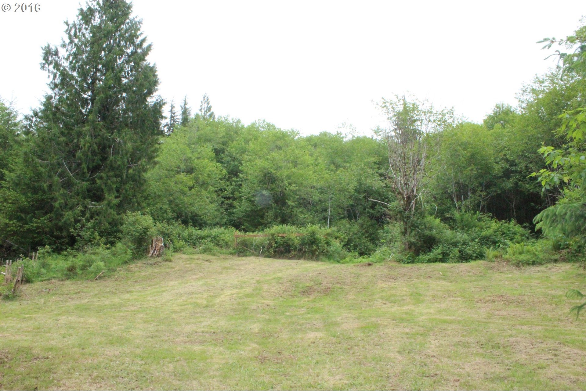261 Beaver Creek Road Cathlamet, WA 98612 - Photo 11 of 13 Gallery Image 11