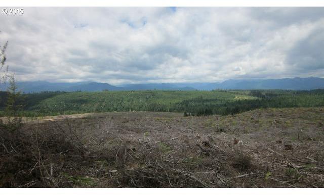Northeast Dewatto Hills Road Tahuya, WA 98588 - Photo 9 of 16 Gallery Image 9