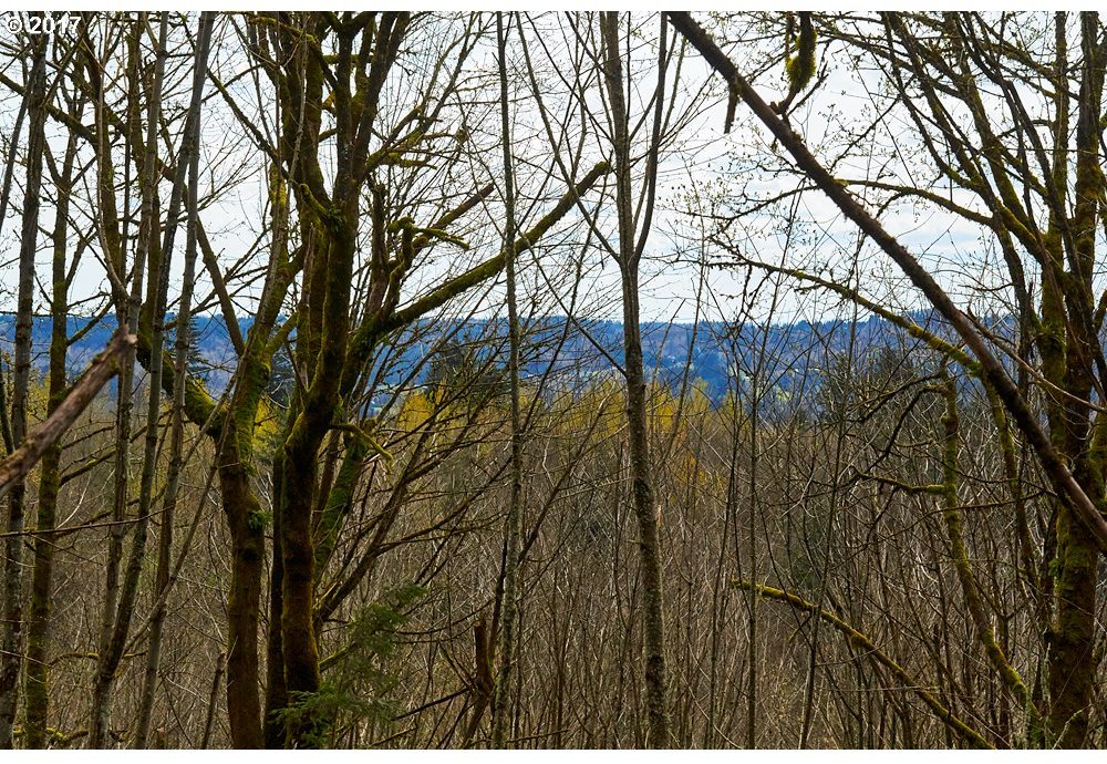 0 Alki Road Woodland, WA 98674 - Photo 9 of 15