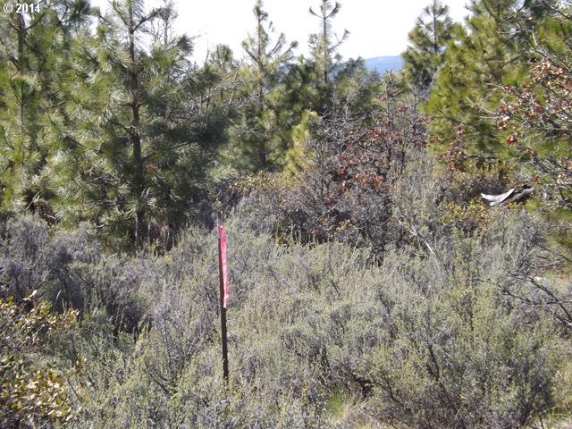 Munson Prairie Road Goldendale, WA 98620 - Photo 14 of 15 Gallery Image 14