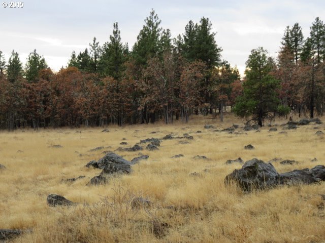 England Drive Goldendale, WA 98620 - Photo 11 of 13