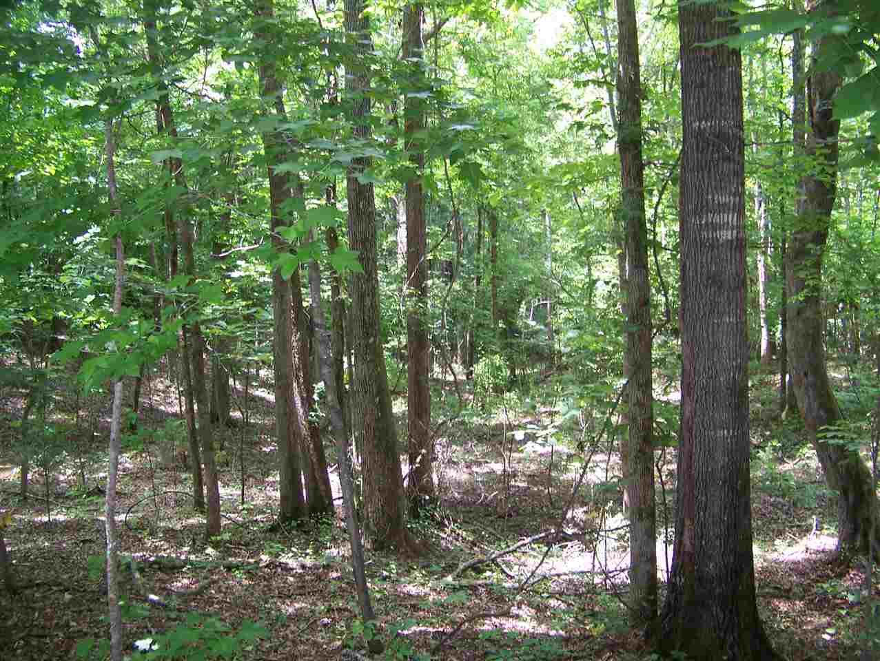 521 Combs Cemetery Road Adamsville, TN 38310 - Photo 22 of 24 Gallery Image 22