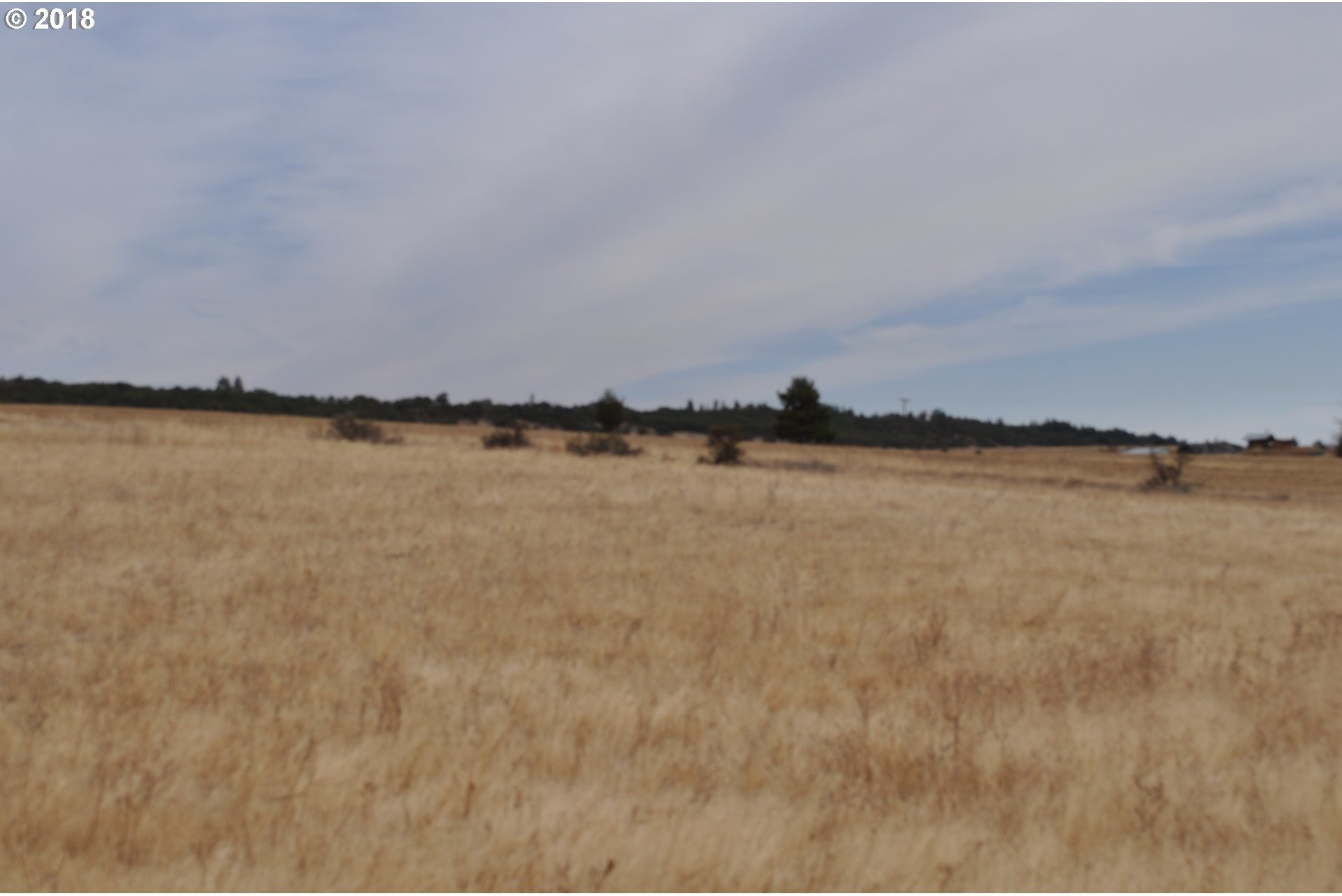 481 Bickleton Highway Goldendale, WA 98620 - Photo 4 of 9 Gallery Image 4