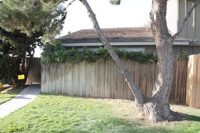 810 Regal Road, Unit I4 Encinitas, CA 92024 - Photo 8 of 8