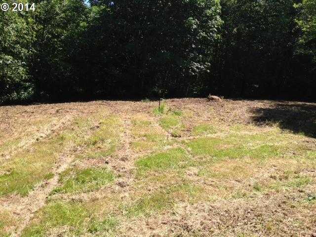 Brown Road Washougal, WA 98671 - Photo 11 of 15 Gallery Image 11