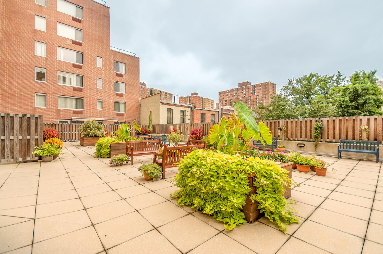 330 West 145th Street, Unit 511 Manhattan, NY 10039 - Photo 5 of 9