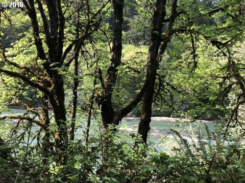 4817 Henderer Road Elkton, OR 97436 - Photo 28 of 29