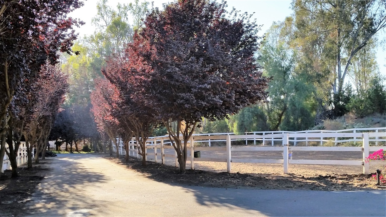 1059 Little Gopher Canyon Road Vista, CA 92084 - Photo 12 of 23