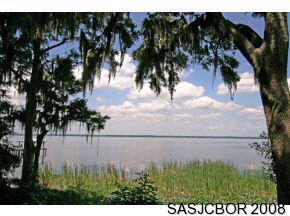 13805 County Road 13 North St. Augustine, FL 32092 - Photo 2 of 24