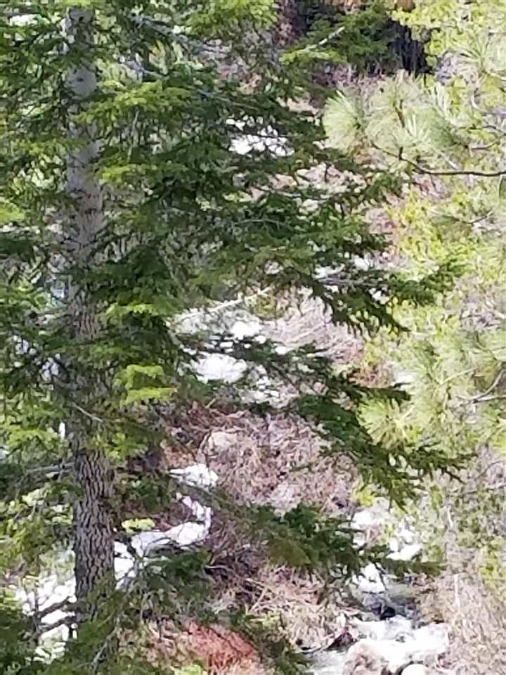 8975 Cold Stream Road Truckee, CA 96161 - Photo 4 of 13