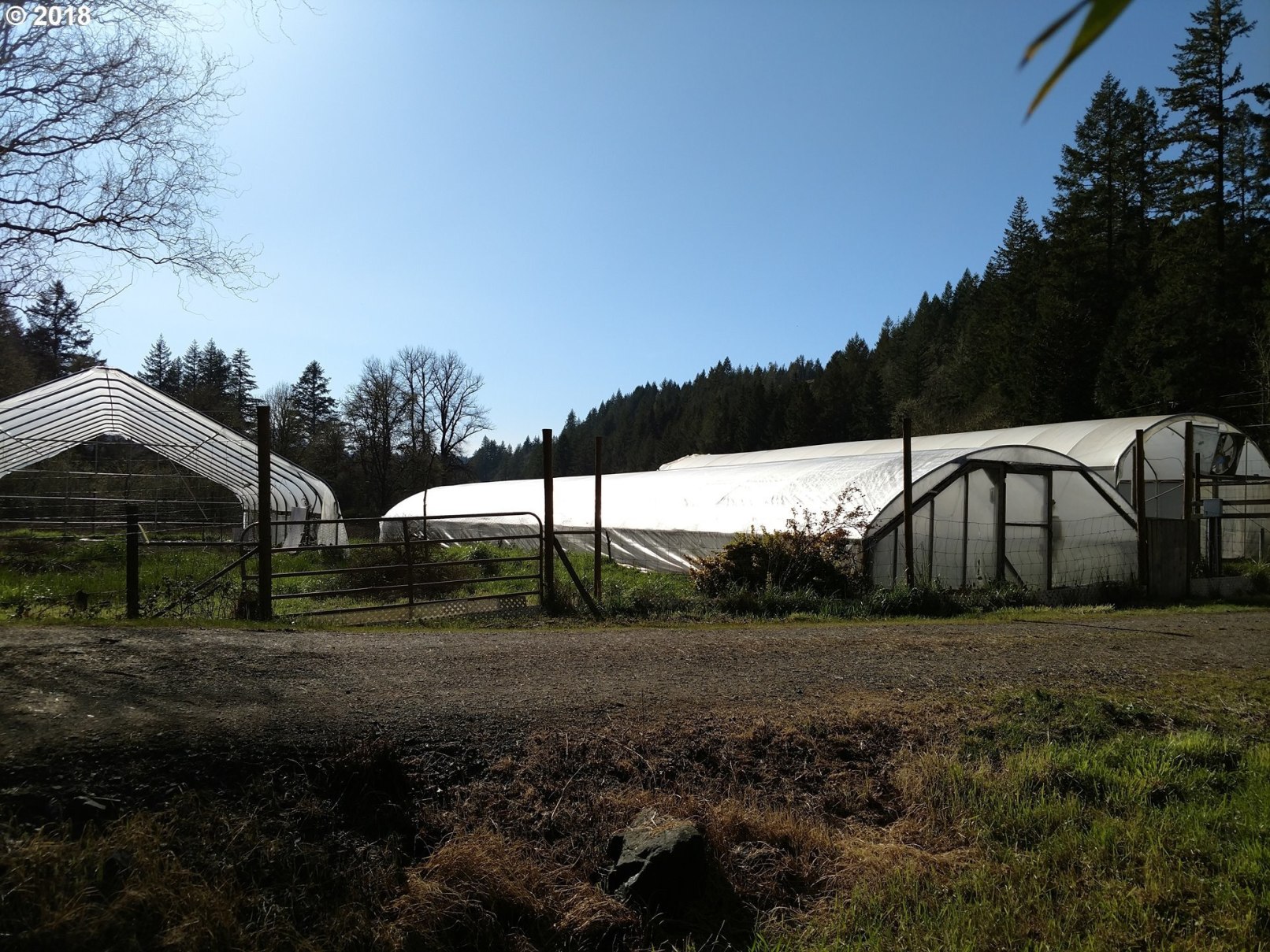 1301 Cox Road Yoncalla, OR 97499 - Photo 28 of 32