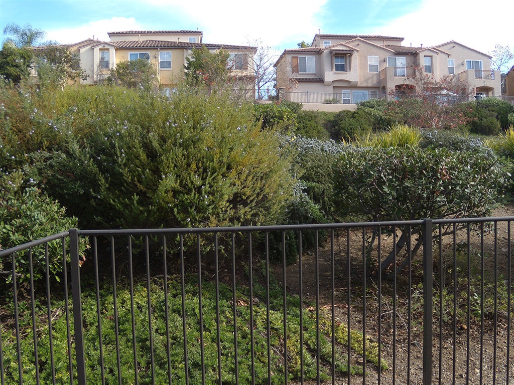 532 Almond Road San Marcos, CA 92078 - Photo 12 of 23