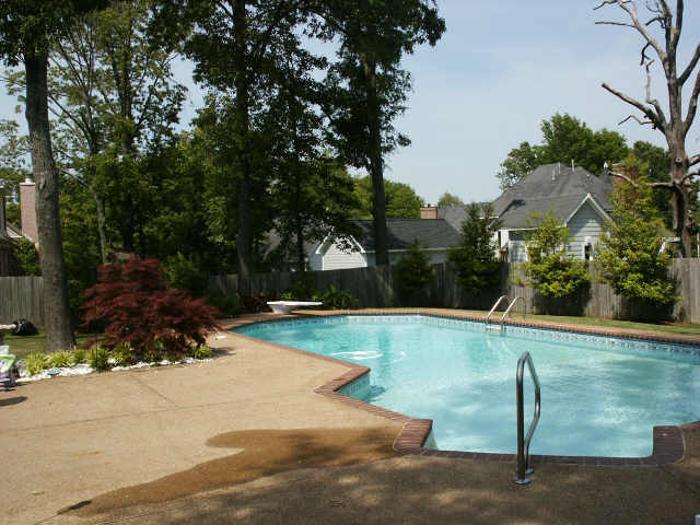 556 Hughes Road Collierville, TN 38017 - Photo 2 of 8 Gallery Image 2