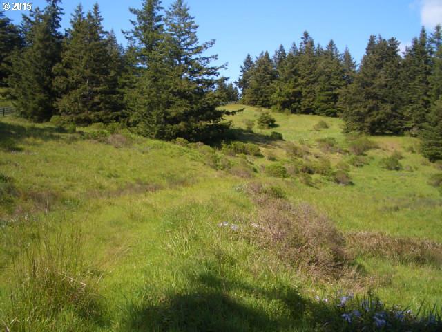 Grizzly Mountain Road, Unit 3B Gold Beach, OR 97444 - Photo 4 of 24 Gallery Image 4