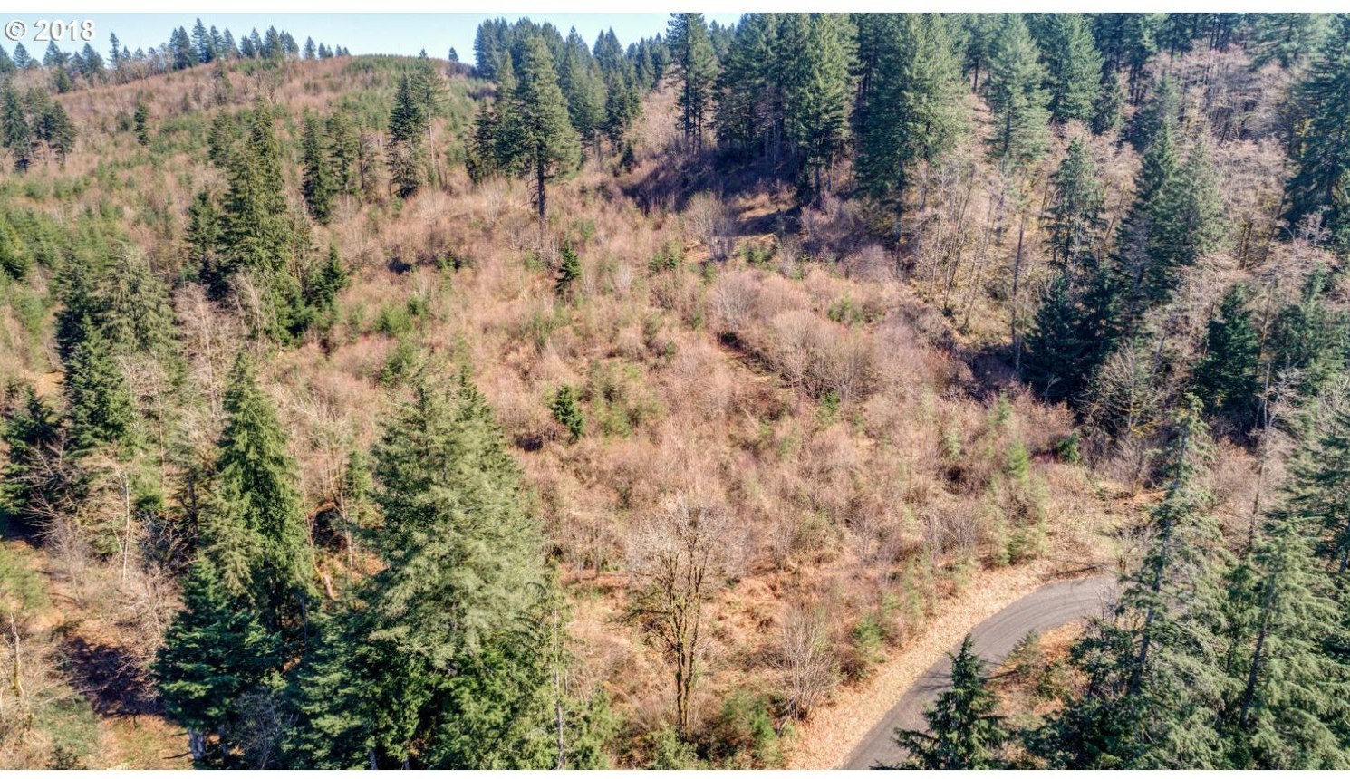 0 Uran Road, Unit 3 Washougal, WA 98671 - Photo 4 of 19 Gallery Image 4
