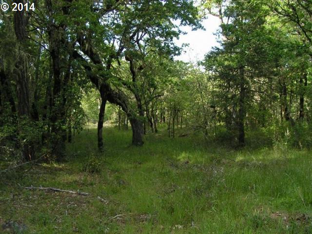 1787 South Side Road Grants Pass, OR 97527 - Photo 6 of 16 Gallery Image 6