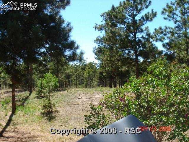 11190 Teachout Road Colorado Springs, CO 80908 - Photo 11 of 15 2.5 Treed Acres