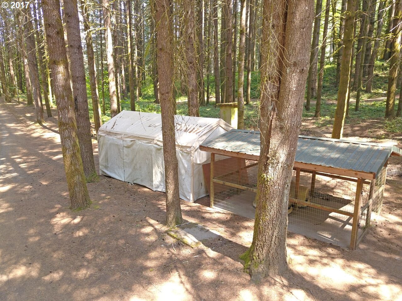 26260 Northwest Pihl Road Banks, OR 97106 - Photo 11 of 32 Gallery Image 11