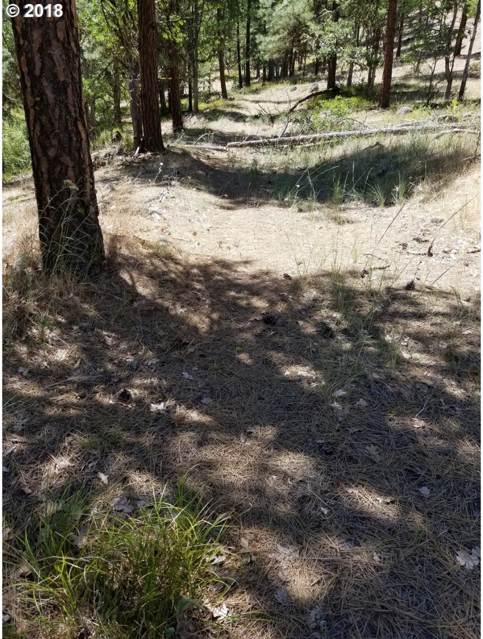 Off Pleasant Ridge The Dalles, OR 97058 - Photo 5 of 11 Gallery Image 5