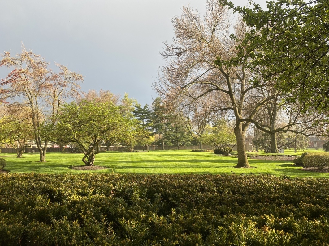 1415 E Central Rd, Arlington Heights, IL 60005 - Photo 2 of 2