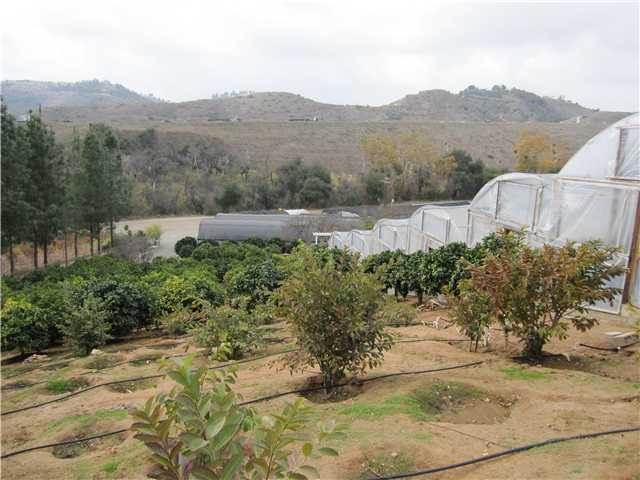 275 Stewart Canyon Road Fallbrook, CA 92028 - Photo 12 of 13 Grove Pix 3