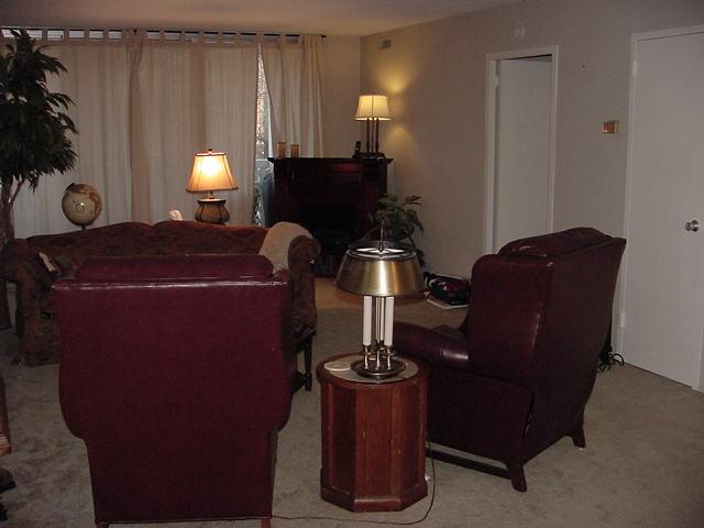 3080 Walnut Grove Road, Unit 308 Memphis, TN 38111 - Photo 2 of 10 Spacious living room with balcony behind drapes.