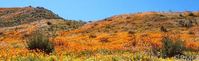 124 White Flower Irvine, CA 92603 - Photo 25 of 26