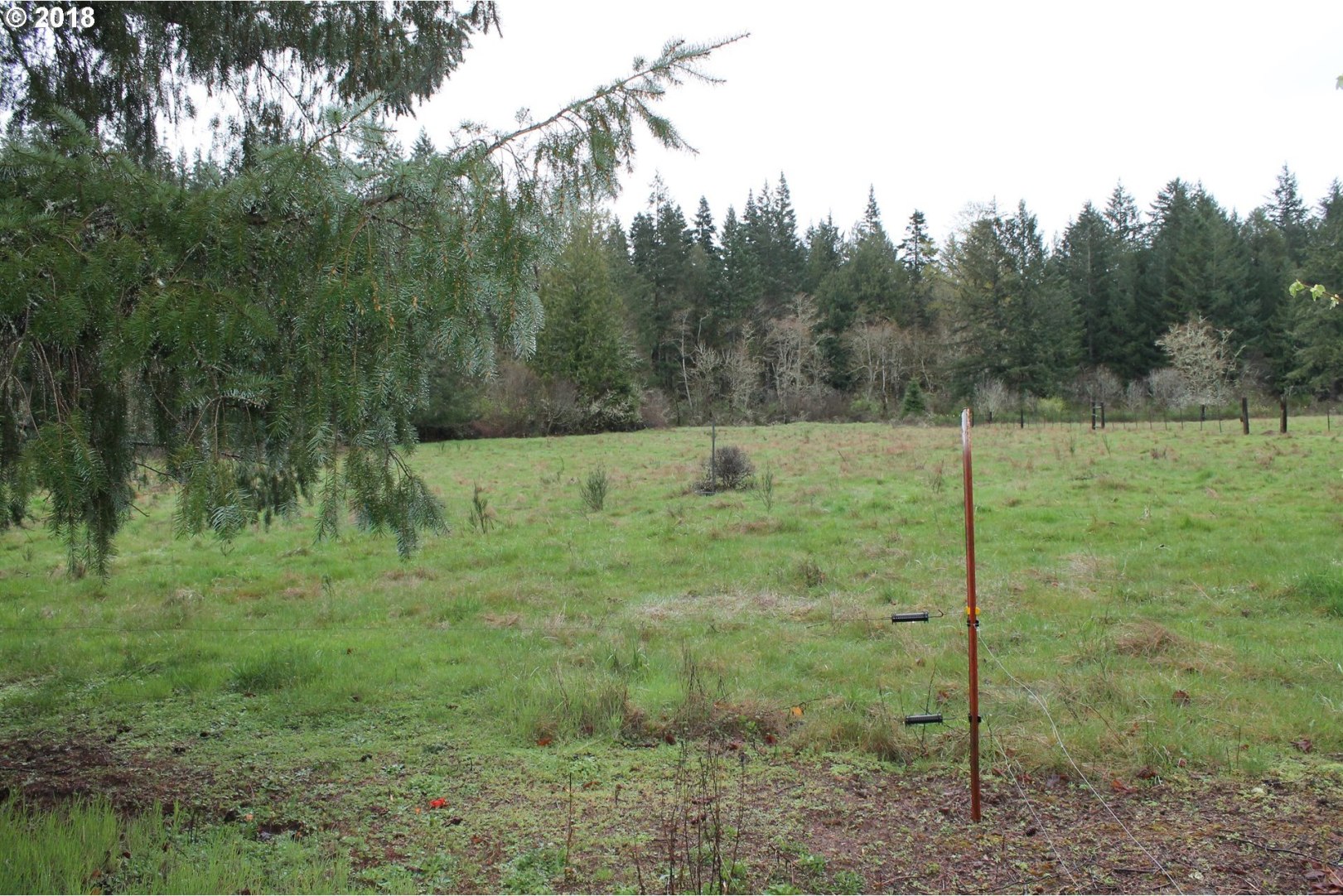 19265 South Munson Road Molalla, OR 97038 - Photo 5 of 8
