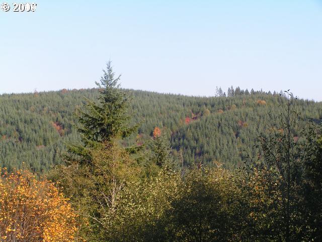 14333 Northwest McNamee Road Portland, OR 97231 - Photo 8 of 8