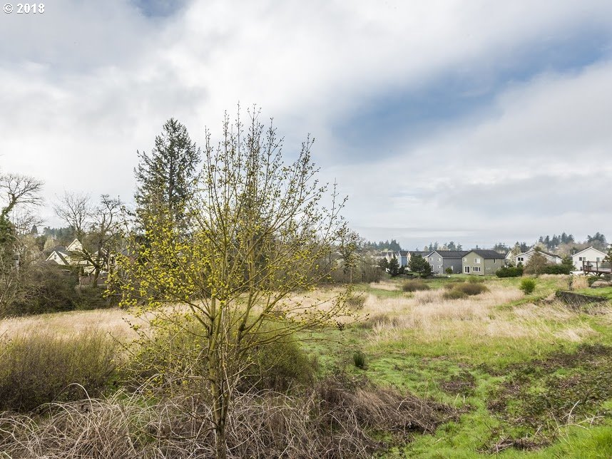 1131 Northwest Meriwether Court Camas, WA 98607 - Photo 32 of 32 Gallery Image 32