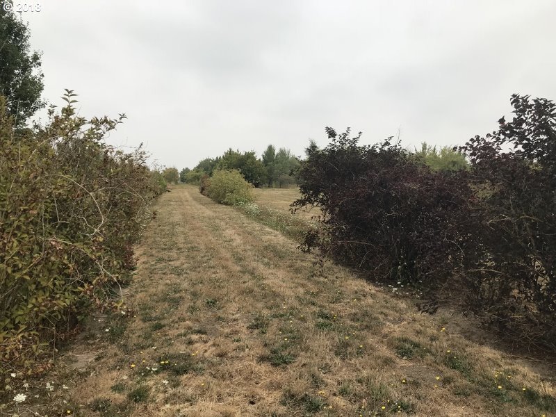 11225 Ehlen Road Northeast Aurora, OR 97002 - Photo 24 of 32