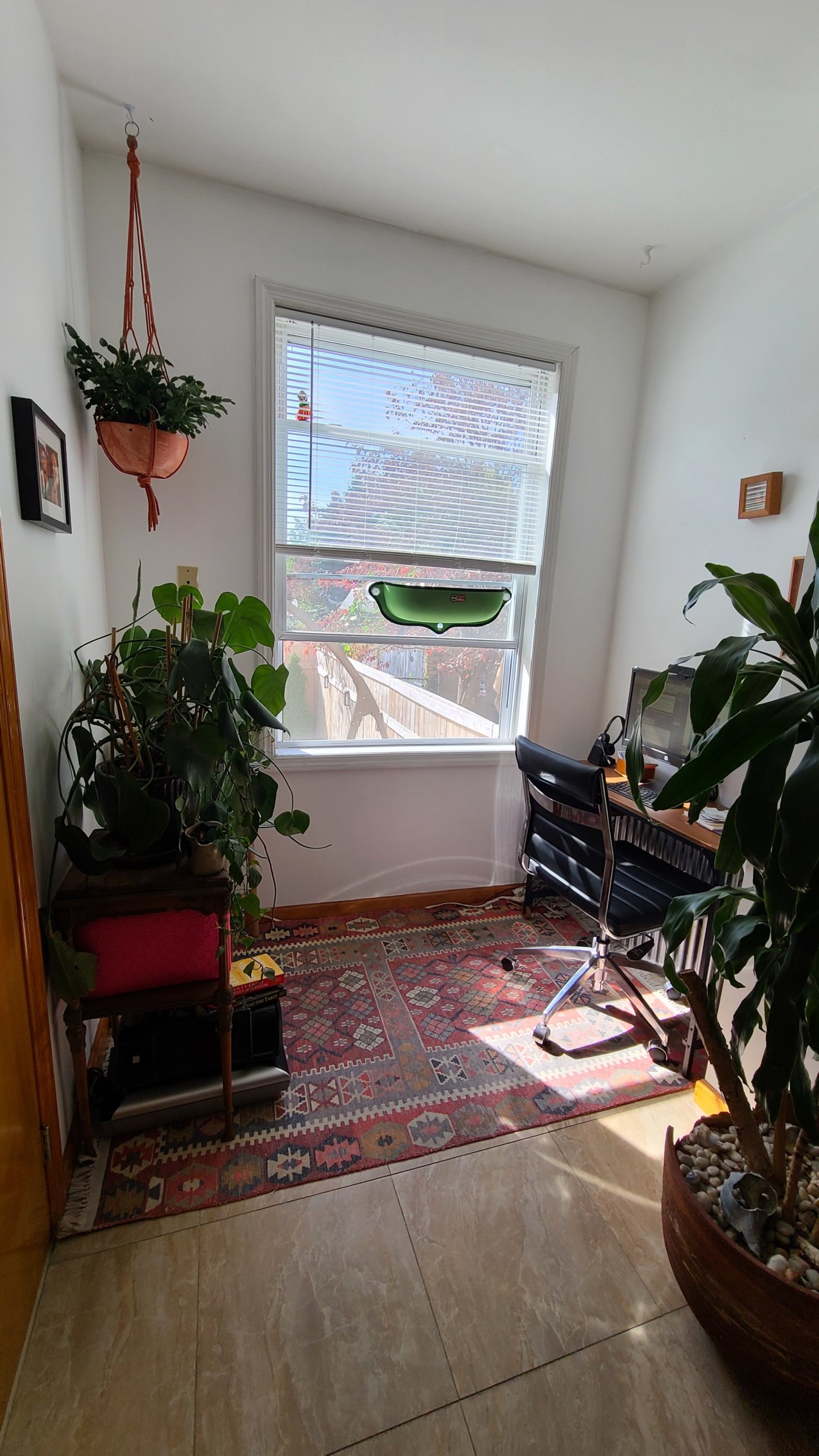 562 Fairview Avenue, Unit 1R Queens, NY 11385 - Photo 11 of 11