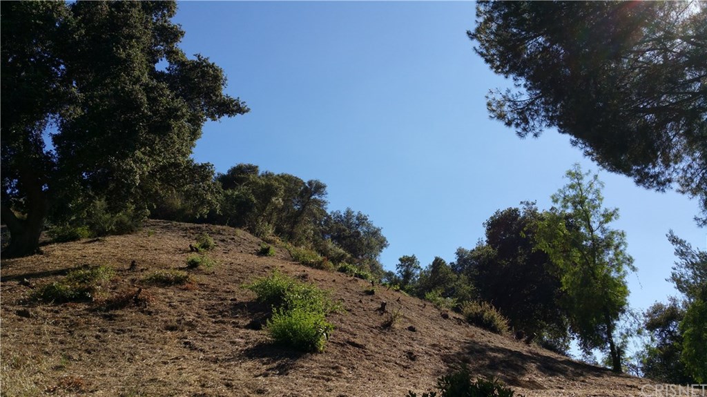 1 Burson Road Topanga, CA 90290 - Photo 3 of 10