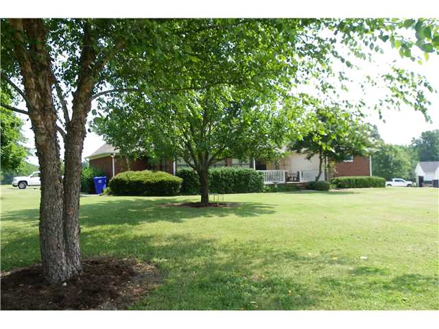 3365 Rast Road Millington, TN 38053 - Photo 18 of 20 Rear yard