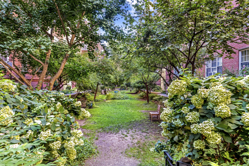 Berkeley 77-12 35th Ave, Queens, NY 11372 - Photo 4 of 4