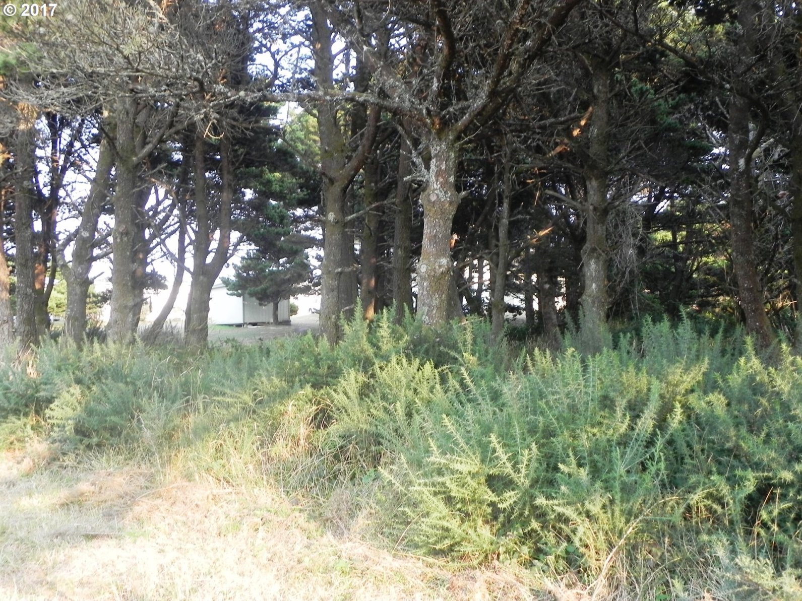 0 Beach Loop Road, Unit 2800 Bandon, OR 97411 - Photo 4 of 13 Gallery Image 4