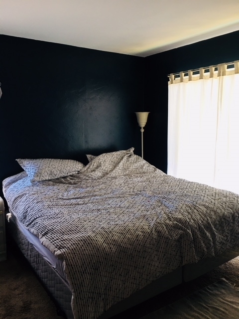 17030 El Sol Road Ramona, CA 92065 - Photo 8 of 11