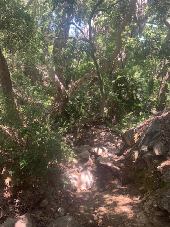 Camino Rainbow Fallbrook Ca Fallbrook, CA 92028 - Photo 13 of 25