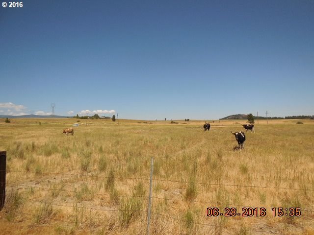 811 D And H Road Goldendale, WA 98620 - Photo 25 of 29 Gallery Image 25