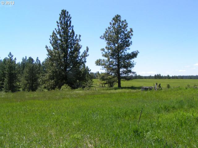 82999 Paradise Road Enterprise, OR 97828 - Photo 16 of 16 Gallery Image 16
