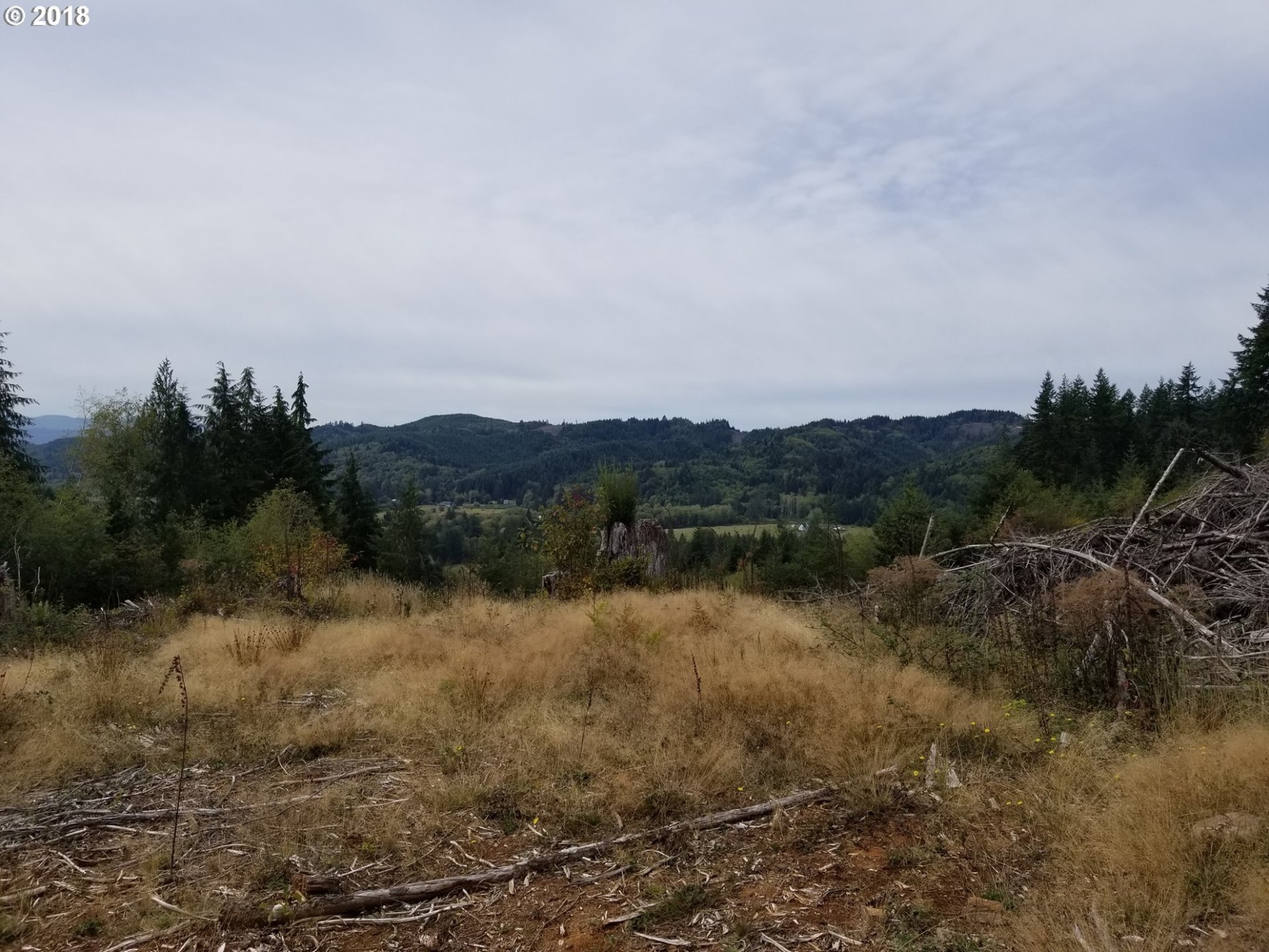 Elochoman Valley Cathlamet, WA 98612 - Photo 23 of 26