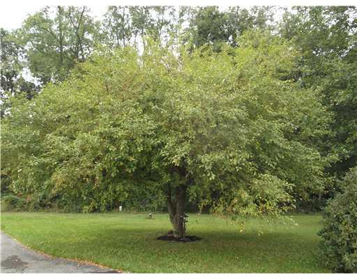 145 Critchlow School Road Renfrew, PA 16053 - Photo 12 of 18 Gallery Image 12
