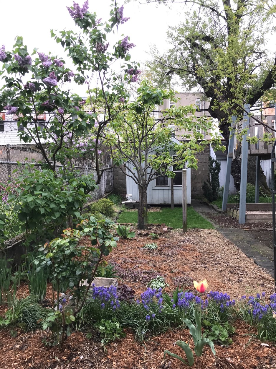 32-23 46th Street Queens, NY 11103 - Photo 10 of 15