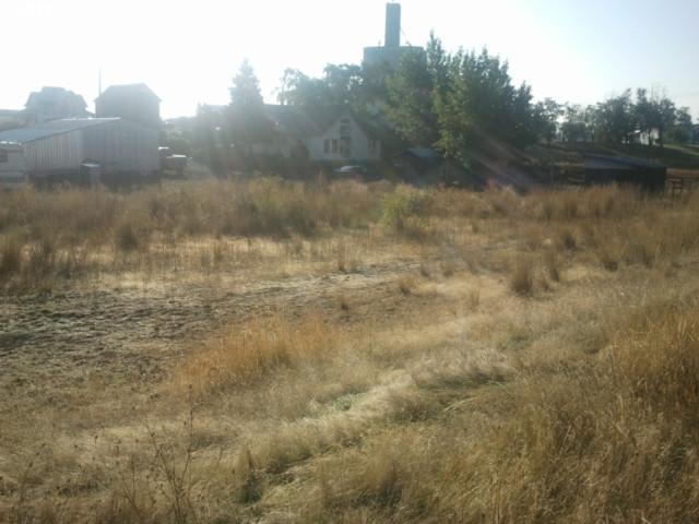 Simcoe Mtn Road Centerville, WA 98613 - Photo 2 of 7 Gallery Image 2