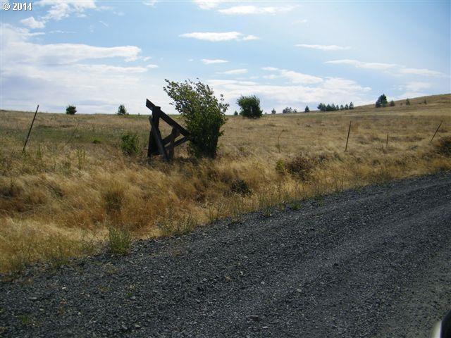 Morris Road, Unit 11 Lyle, WA 98635 - Photo 1 of 1 Gallery Image 1