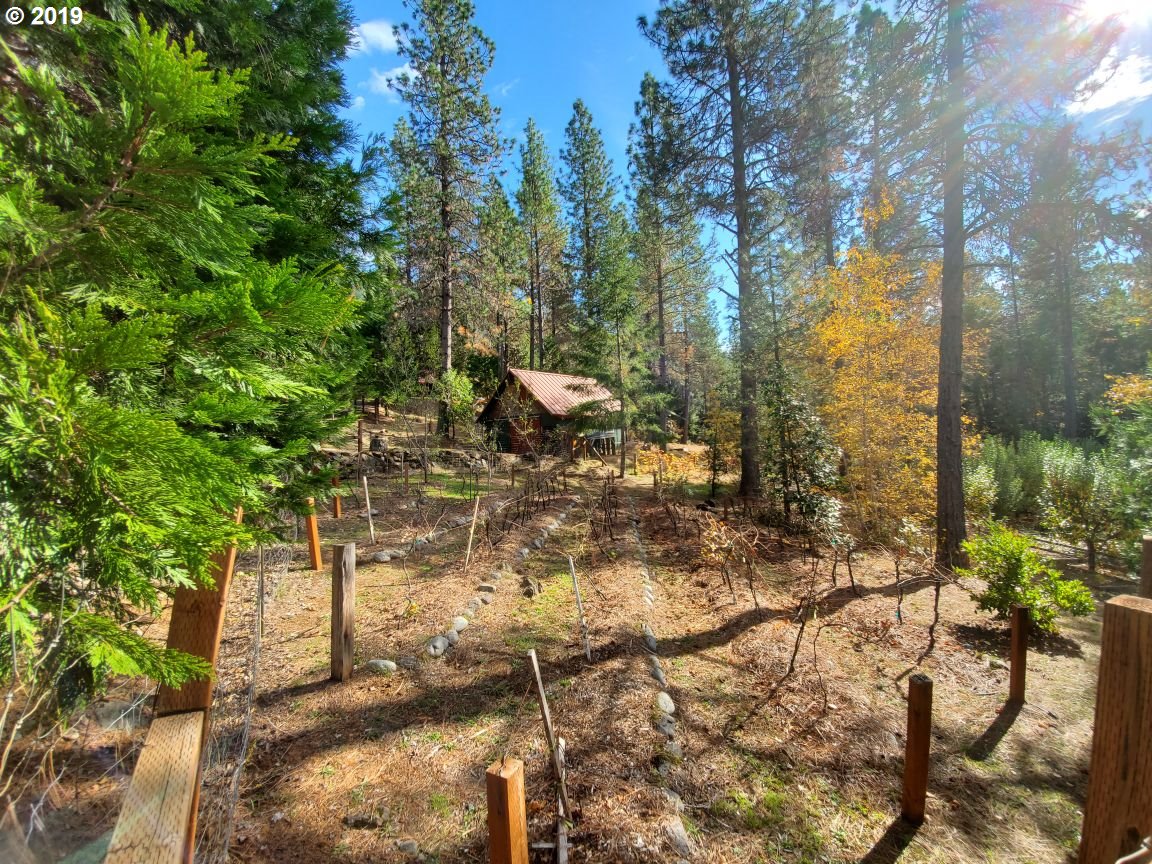 4580 Old House Creek Road Agness, OR 97406 - Photo 29 of 31